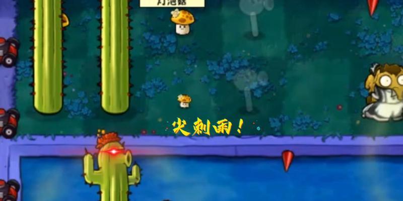 仙人掌的奇幻世界：掌中之美-第3张图片-学作网