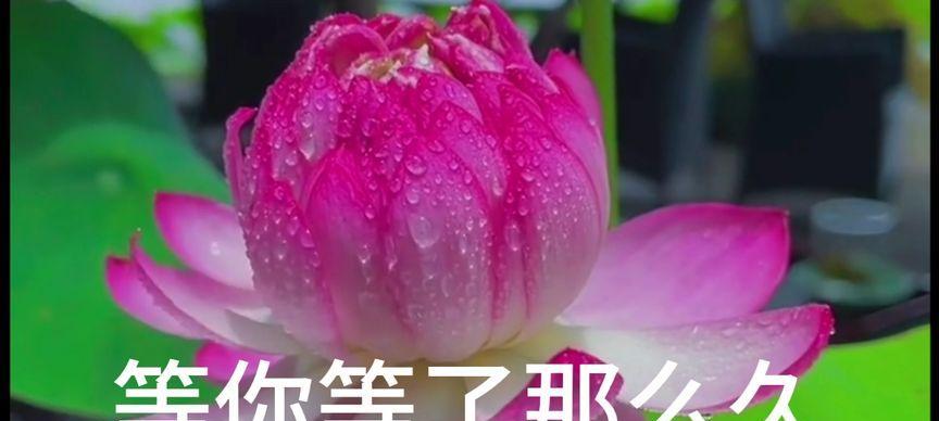 回忆的深渊——一个失落的故事-第2张图片-学作网