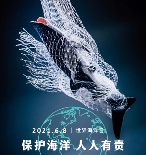 我们的地球，我们的责任（小小的行动，大大的改变）-第3张图片-学作网