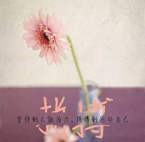 成长需要坚强（一个少年的故事）-第1张图片-学作网