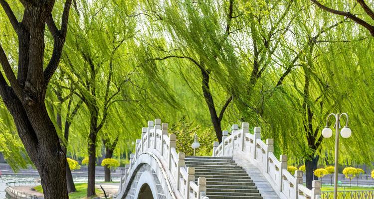 感恩春天的美景（一位盲人的感恩之旅）-第3张图片-学作网