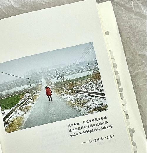 磨难生铁心（生命之路上，坚韧不拔的成长）-第2张图片-学作网