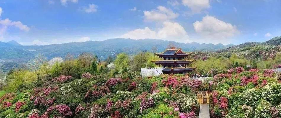 最庸常最壮丽（奇迹之旅）-第1张图片-学作网