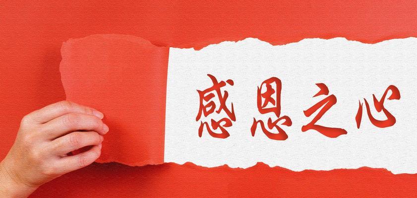 小黑的感恩之旅（一只小狗的成长历程）-第2张图片-学作网
