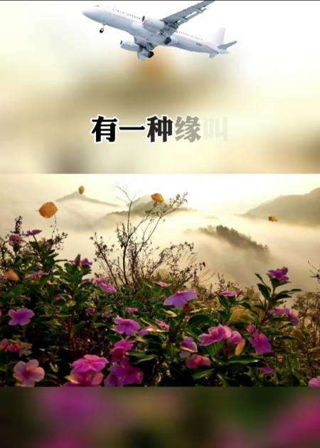 无私之爱（一位老人的故事）-第1张图片-学作网