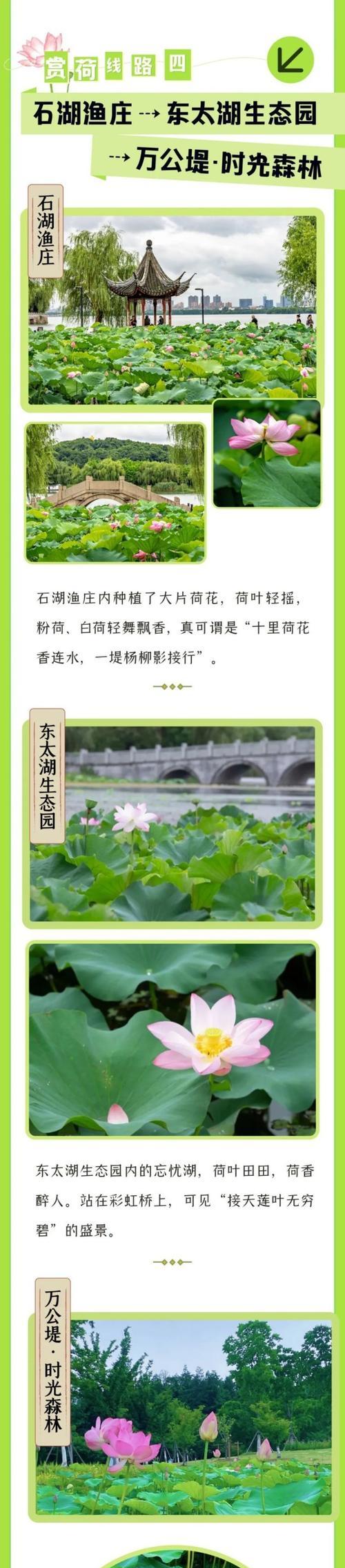以香远益清（清新芬芳的友谊）-第2张图片-学作网