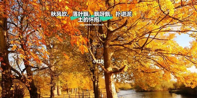 叶落归根，思念成痕（叶落归根，思念成痕）-第3张图片-学作网