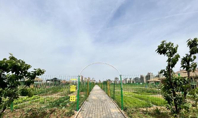 一杯茶，一本书，一个下午（远离喧嚣，享受慢时光）-第1张图片-学作网