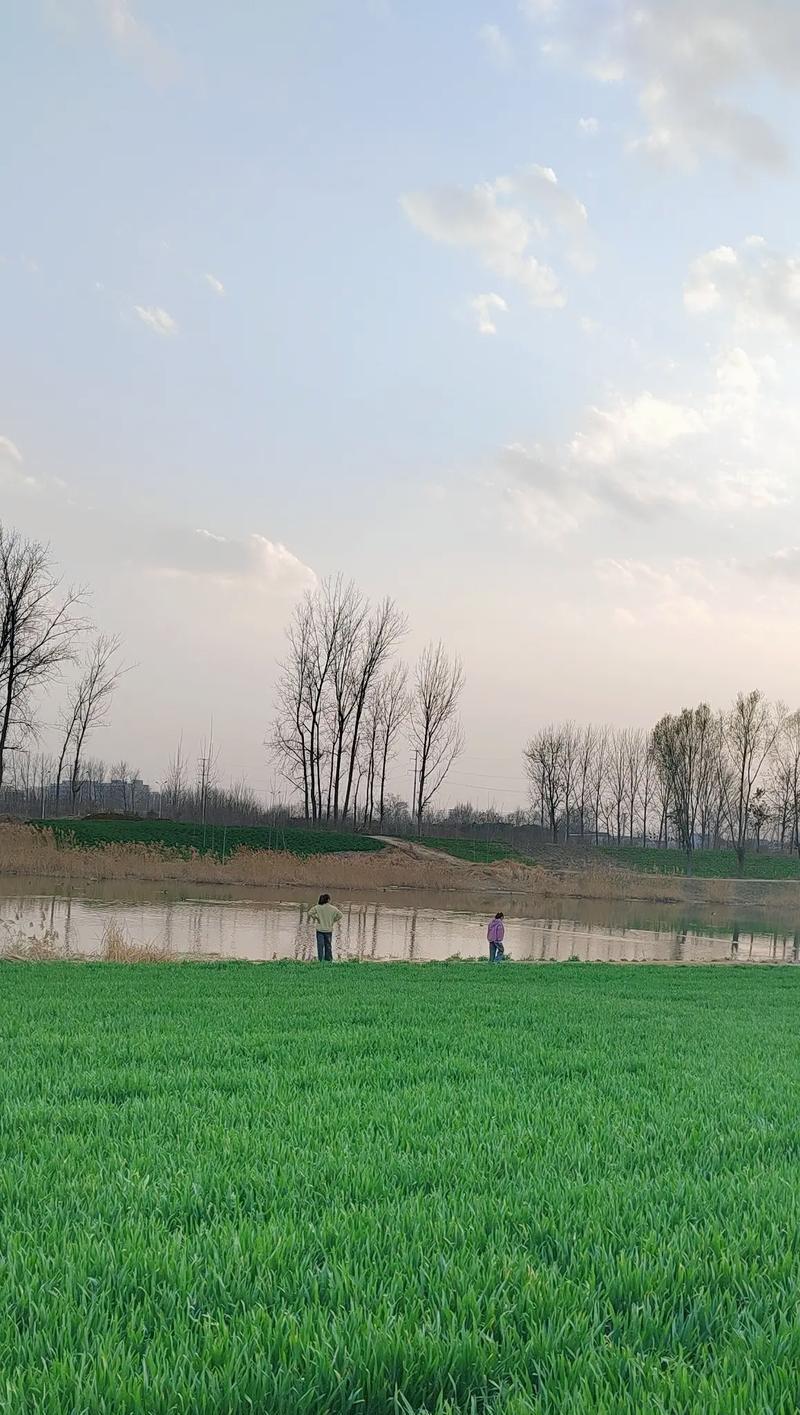 寻回平和——一个人心走过的旅程（有着光芒的梦想，却忘记了生活中的小确幸）-第1张图片-学作网