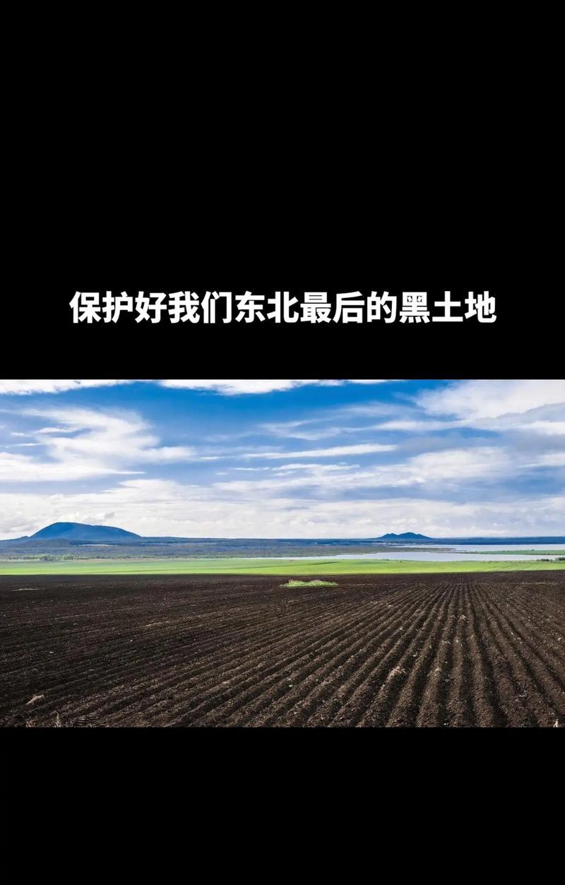 自我保护，从坚定的内心开始（一个女孩的成长故事）-第2张图片-学作网
