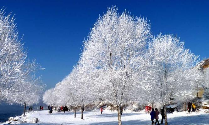 在雪花中的奇遇（在雪花中的奇遇）-第3张图片-学作网