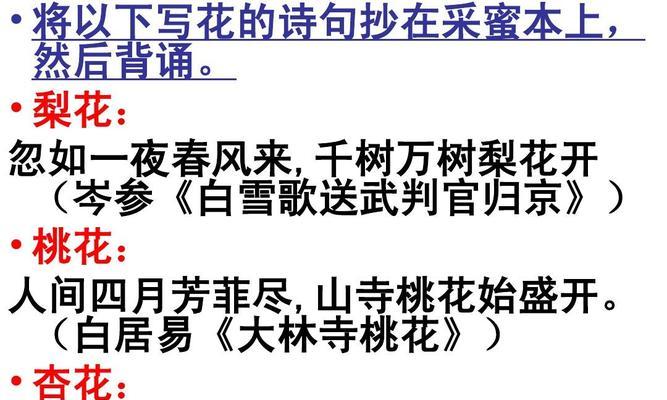 风中的玫瑰，心中的执念（风中的玫瑰，心中的执念）-第3张图片-学作网