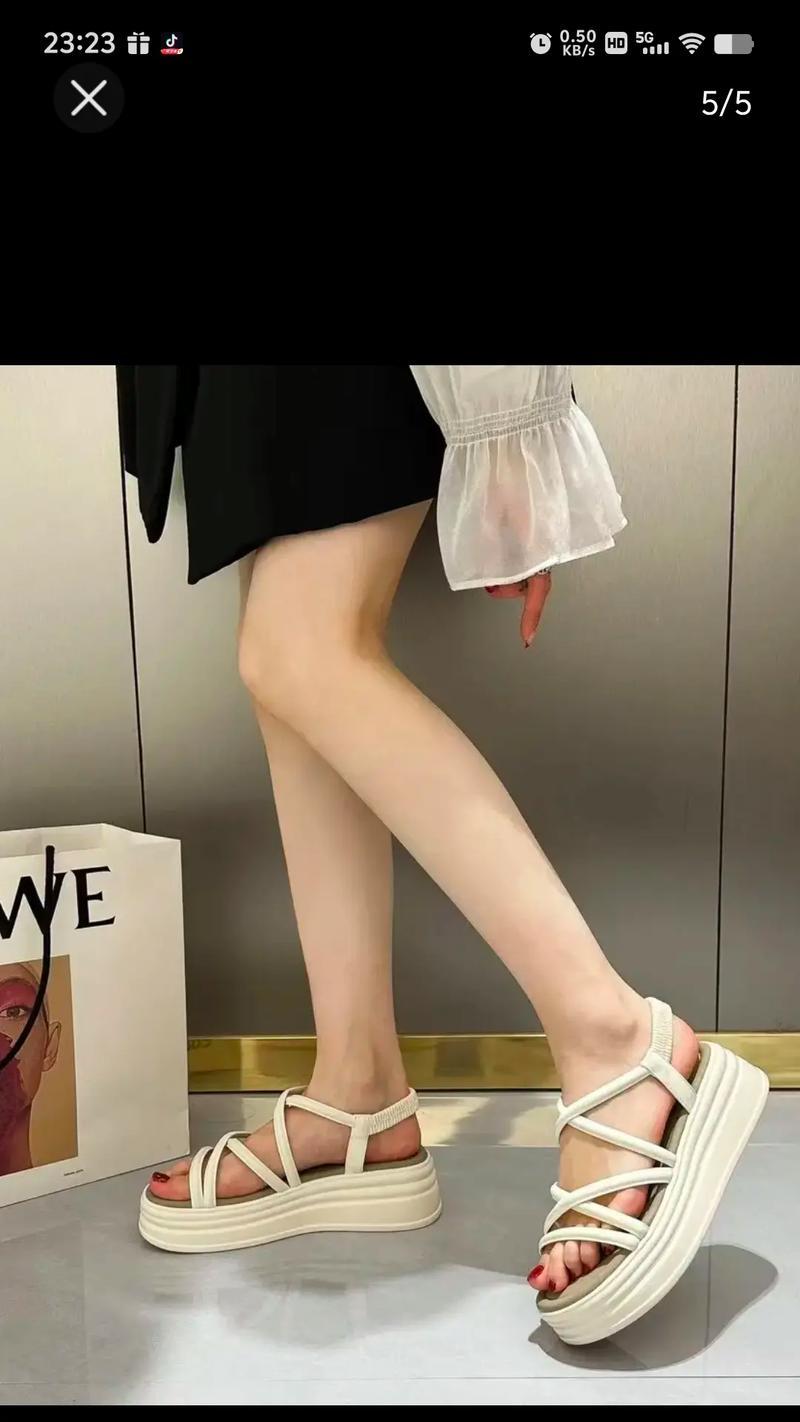 品味人生——我的欣赏之旅-第1张图片-学作网