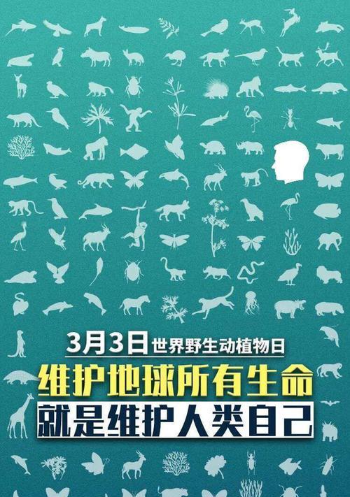 她的梦想，我们的责任；（她的梦想，我们的责任；）-第1张图片-学作网