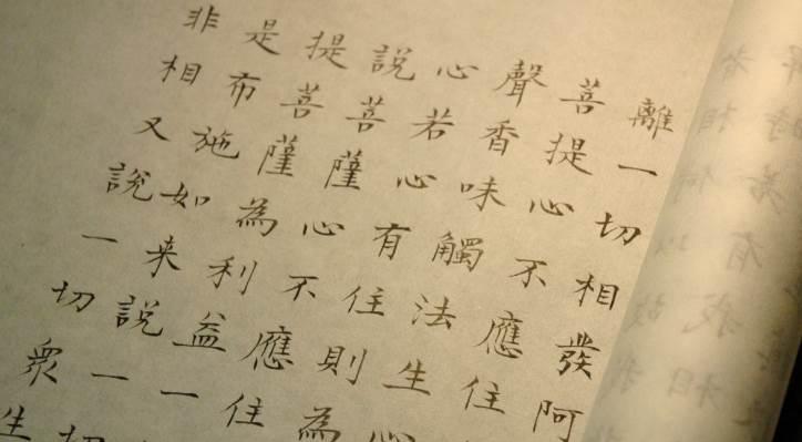 震撼世人的爱心故事——拯救小狗的英雄-第3张图片-学作网