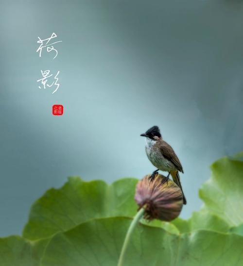 生命的点缀——美丽的源泉（以人物为主，讲述点缀生命的故事）-第1张图片-学作网