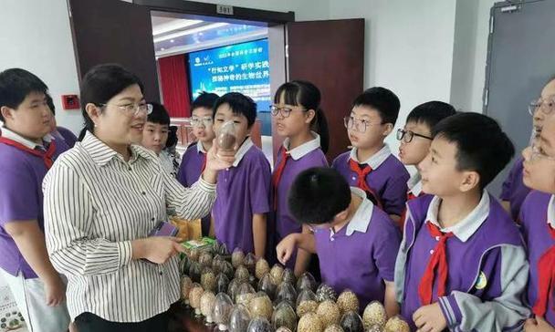 幸福的发现（幸福的发现）-第3张图片-学作网