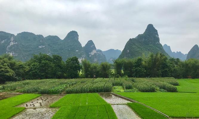 欢乐的田野（追寻自由的冒险之旅）-第2张图片-学作网