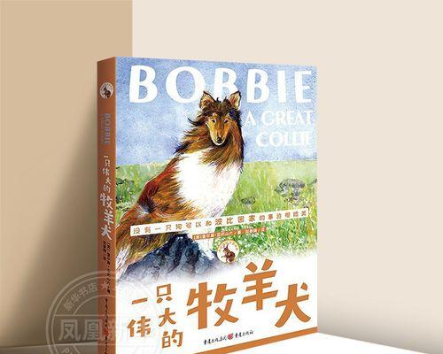 一位奇妙的旅行家（如何寻找自己的伟大）-第1张图片-学作网