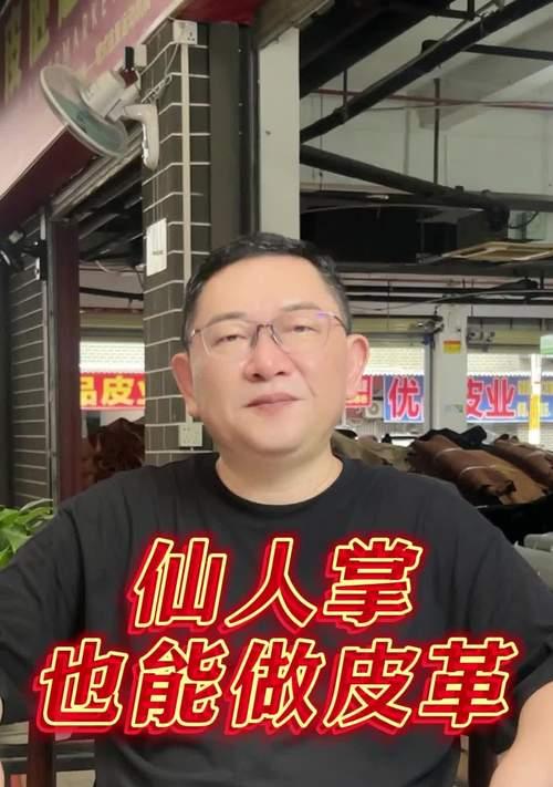 仙人掌的生命力（刺痛、鲜花和故事）-第2张图片-学作网
