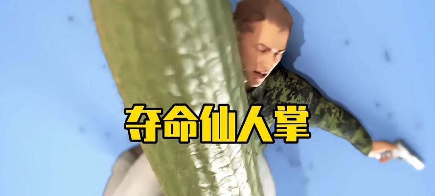 仙人掌的生命力（刺痛、鲜花和故事）-第3张图片-学作网