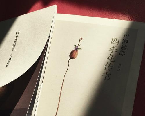 心灵之窗：穿透黑暗的光明-第2张图片-学作网