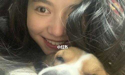 小狗，我的忠诚朋友（小狗陪我度过的美好时光）-第1张图片-学作网