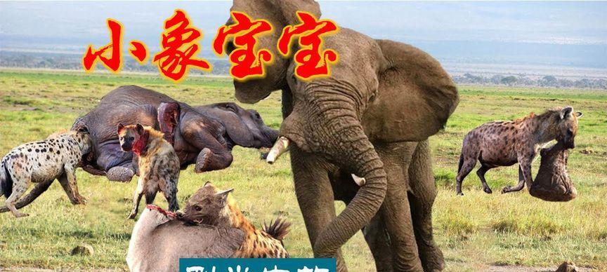 在大自然中寻找生命的意义（在大自然中寻找生命的意义）-第3张图片-学作网
