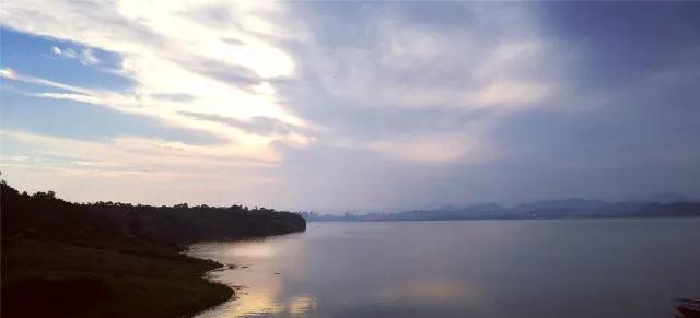 家乡美景（在那片绿色中追逐）-第2张图片-学作网