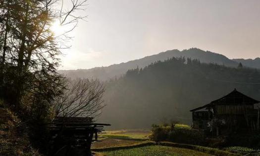 家乡美景（在那片绿色中追逐）-第3张图片-学作网