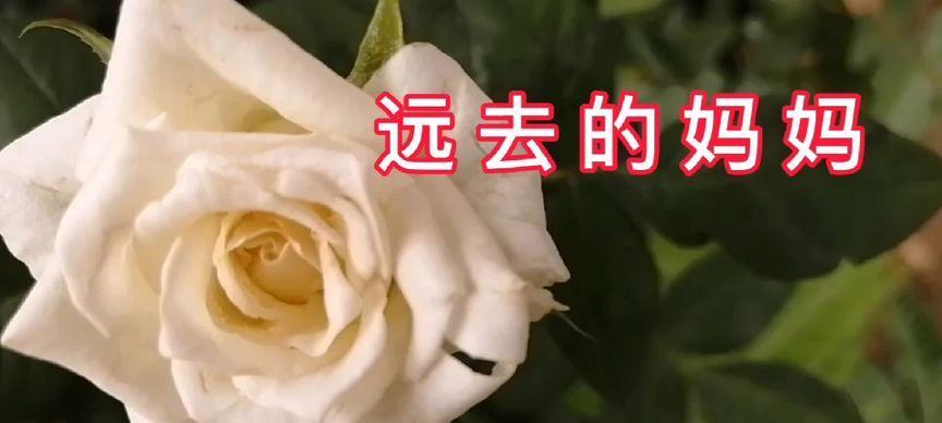 流淌的泪水（因思念而流淌的泪水）-第2张图片-学作网