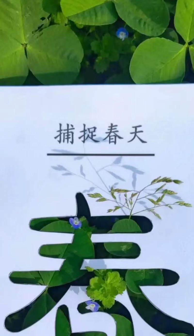 一个平凡人的坚持与成就（一个平凡人的坚持与成就）-第1张图片-学作网