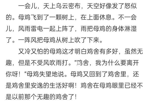 母鸡的飞翔（一只与众不同的母鸡）-第2张图片-学作网