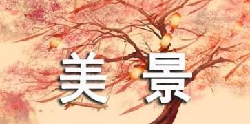 心中的美景（一个不同凡响的旅程）-第1张图片-学作网