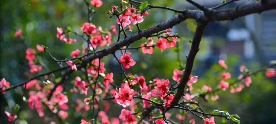 美丽的邂逅（欣赏，让美丽更长久）-第2张图片-学作网
