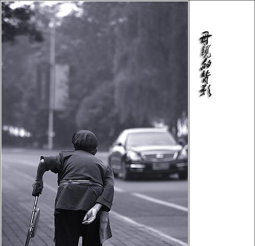 母亲的背影（无私、坚强、宽容）-第1张图片-学作网