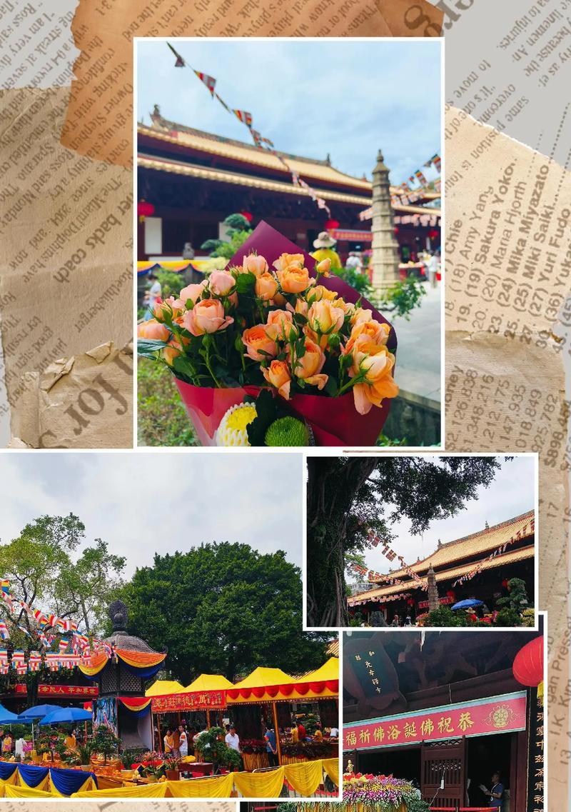 一位追求快乐的女孩（一位追求快乐的女孩）-第2张图片-学作网