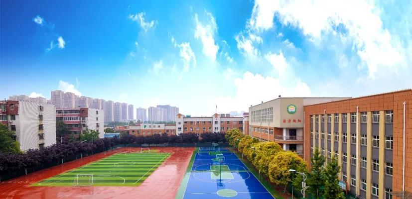 醉人校园（多彩生命）-第1张图片-学作网