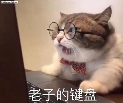 TheParadoxofOrdinaryandMagnificent（ATaleofFindingBeautyintheMundane）-第3张图片-学作网