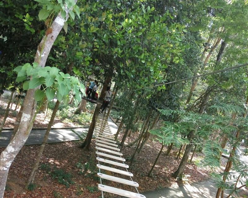 一个与众不同的我（追寻独特的生活方式）-第1张图片-学作网