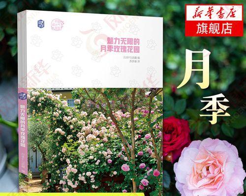 无穷魅力的诱惑（她，让世界为之瞩目）-第2张图片-学作网