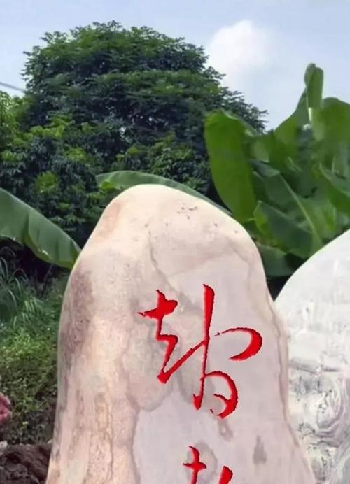 人生之路（一生的选择）-第2张图片-学作网