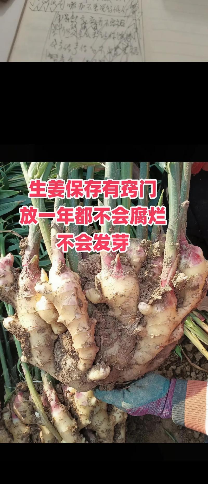 窍门的神奇力量（一个故事，让你惊喜连连）-第1张图片-学作网