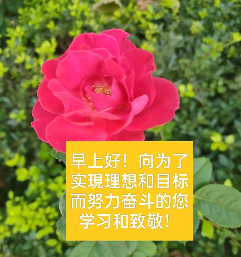 梦想的力量（以目标为引领，奋斗向前）-第3张图片-学作网