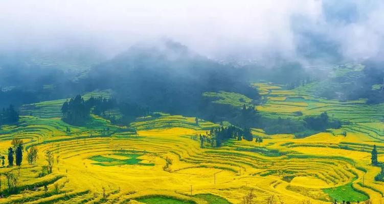 那个人，那个美丽（那个人，那个美丽）-第2张图片-学作网