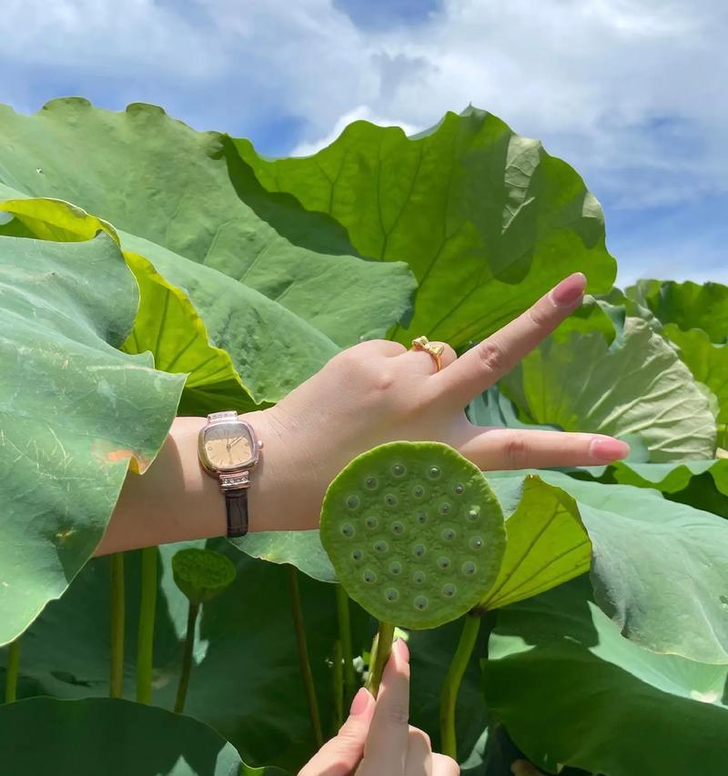 花香与家族（传承中的执着）-第2张图片-学作网