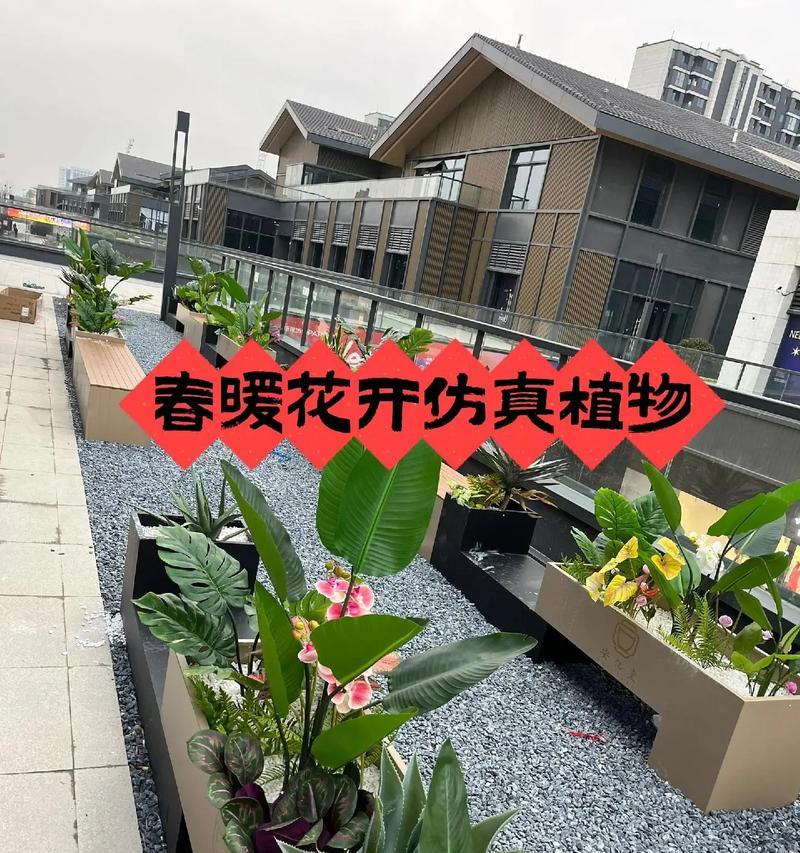 春天的气息悄然降临，踏入花的世界（春天的气息悄然降临，踏入花的世界）-第1张图片-学作网