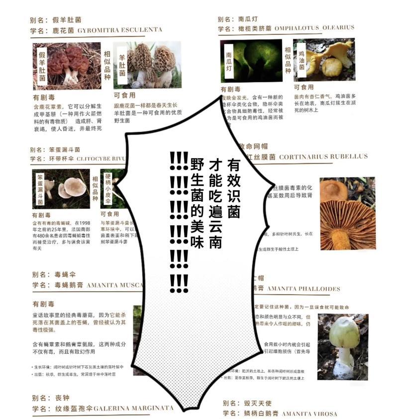 大自然的恩赐（珍爱生命、保护环境）-第3张图片-学作网