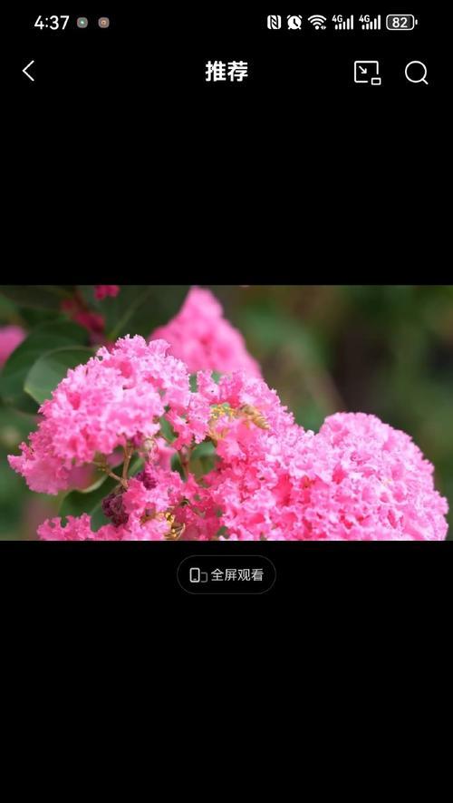 那些美丽而脆弱的存在（那些美丽而脆弱的存在）-第2张图片-学作网