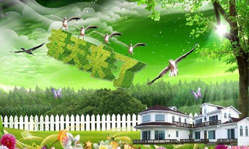 春日使者（当春天的气息遇上美丽的邂逅）-第2张图片-学作网